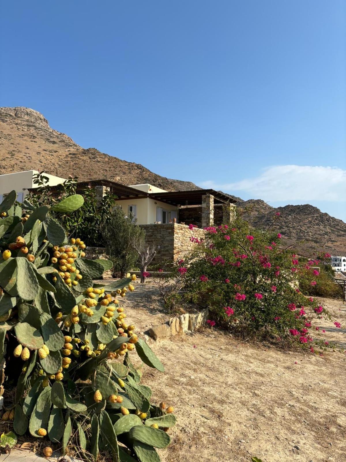 Euphrosyne Villa Chora  Exterior photo